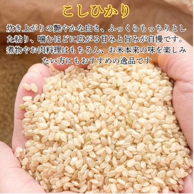 ふるさと納税 小浜市 令和7年産新米特別栽培米　こしひかり玄米　20kg |  | 01