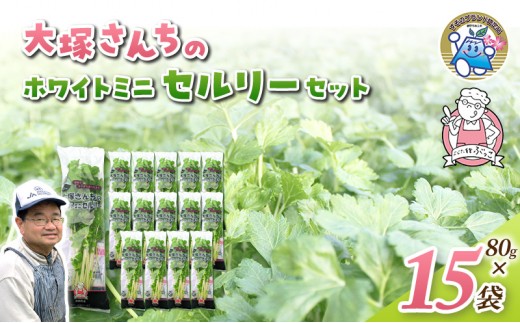 
                  ホワイトミニセルリー 15袋入り 野菜 詰め合わせ セルリー セロリ ミニセロリ 新鮮 産地直送 大容量 業務用 まとめ買い 野菜セット ギフト 詰合せ 常備野菜 [№5812-0240]
                