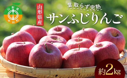 《2026年発送先行予約》山形県産 葉取らず完熟サンふじりんご 秀 約2kg 林檎 リンゴ フルーツ 果物 くだもの 山形県 中山町 F4A-1007