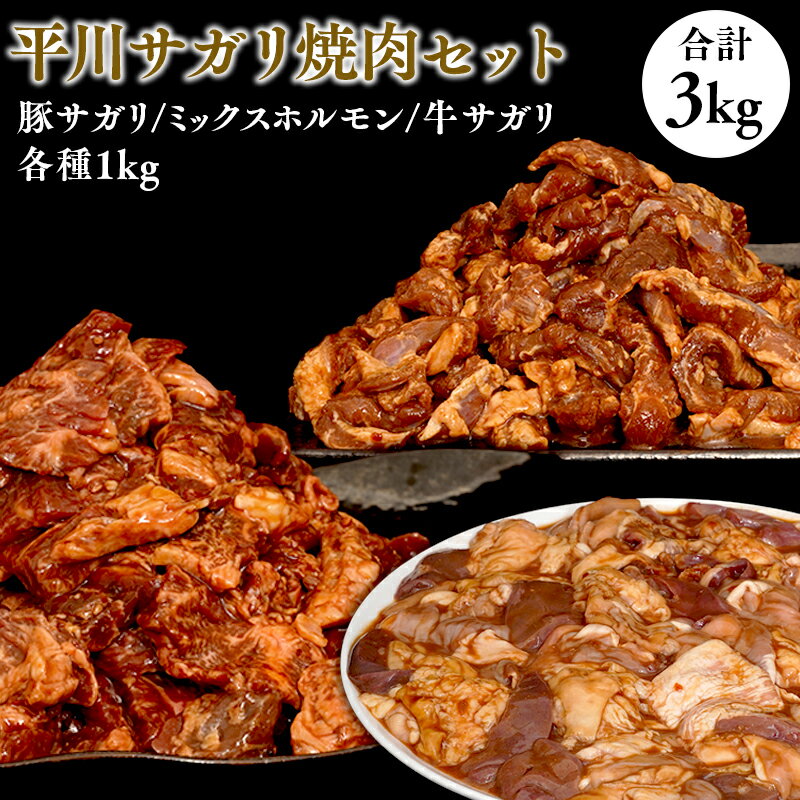 【ふるさと納税】 平川サガリ 焼肉セット 約3kg 12人前 焼肉 ホルモン ミックスホルモン サガリ ハラミ バーベキュー BBQ パーティー キャンプ 秘伝のたれ 牛肉 豚肉 夏休み お盆 大量 青森県 平川市 レビューキャンペーン