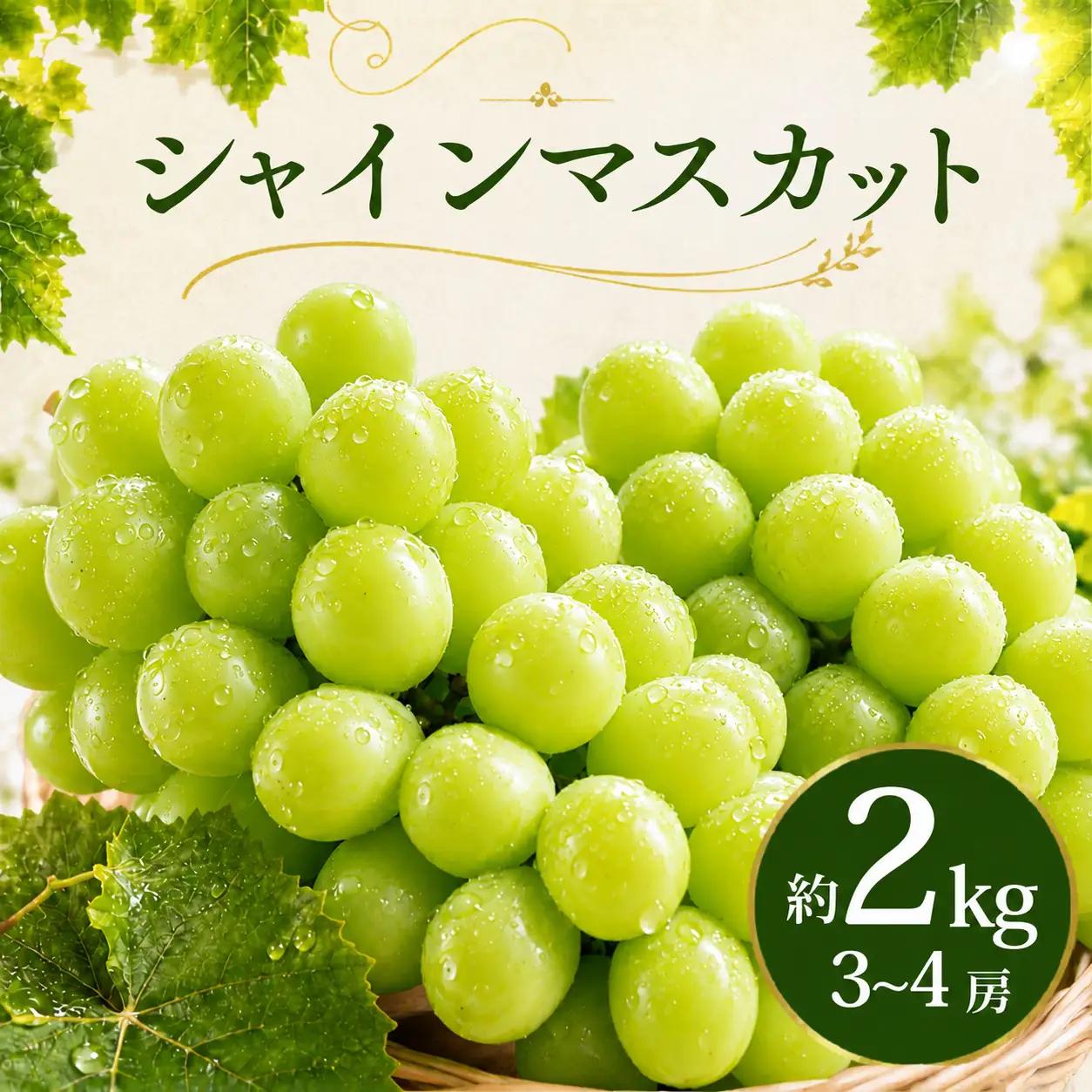 シャインマスカット 2kg シャインマスカット