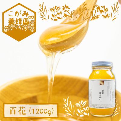 ふるさと納税 飛騨市 百花蜜 1200g[Q1196]