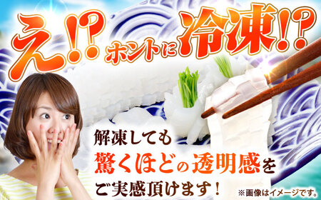 アオリイカ 刺身用 500g [JCC023] イカ刺し