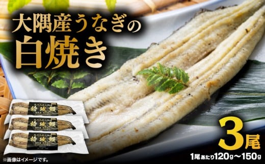 大隅産うなぎの白焼き 3尾　KN174-002-03