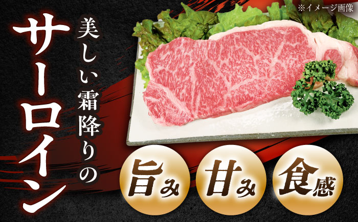 【チルド（冷蔵）発送！】 「飛騨牛」 A5等級 サーロインステーキ 200g×4枚 / 牛肉 焼肉 鉄板焼き 網焼き BBQ / 恵那市 / 東美濃農業協同組合 [AUFX013]