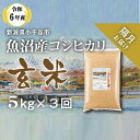 【ふるさと納税】〔定期便 隔月〕〔玄米 選別品〕令和6年産 魚沼産 コシヒカリ 玄米 定期便 5kg×3回【隔月お届け】 米 お米 おこめ ブランド米 こしひかり コシヒカリ 産地直送 お取り寄せ おいしい おすすめ 人気 米太 新潟 魚沼 小千谷市 KT35P349