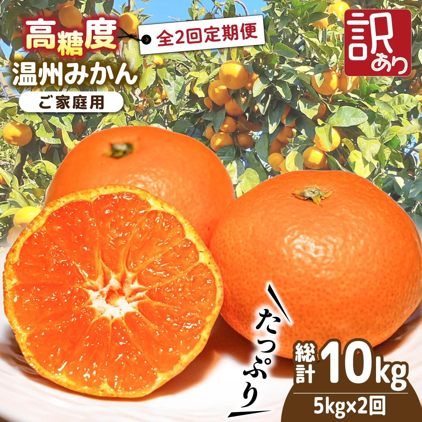 【2026年12月-発送】【2回定期便】温州みかん 約5kg（傷もの）みかん / 南島原果物屋 [SCV018]