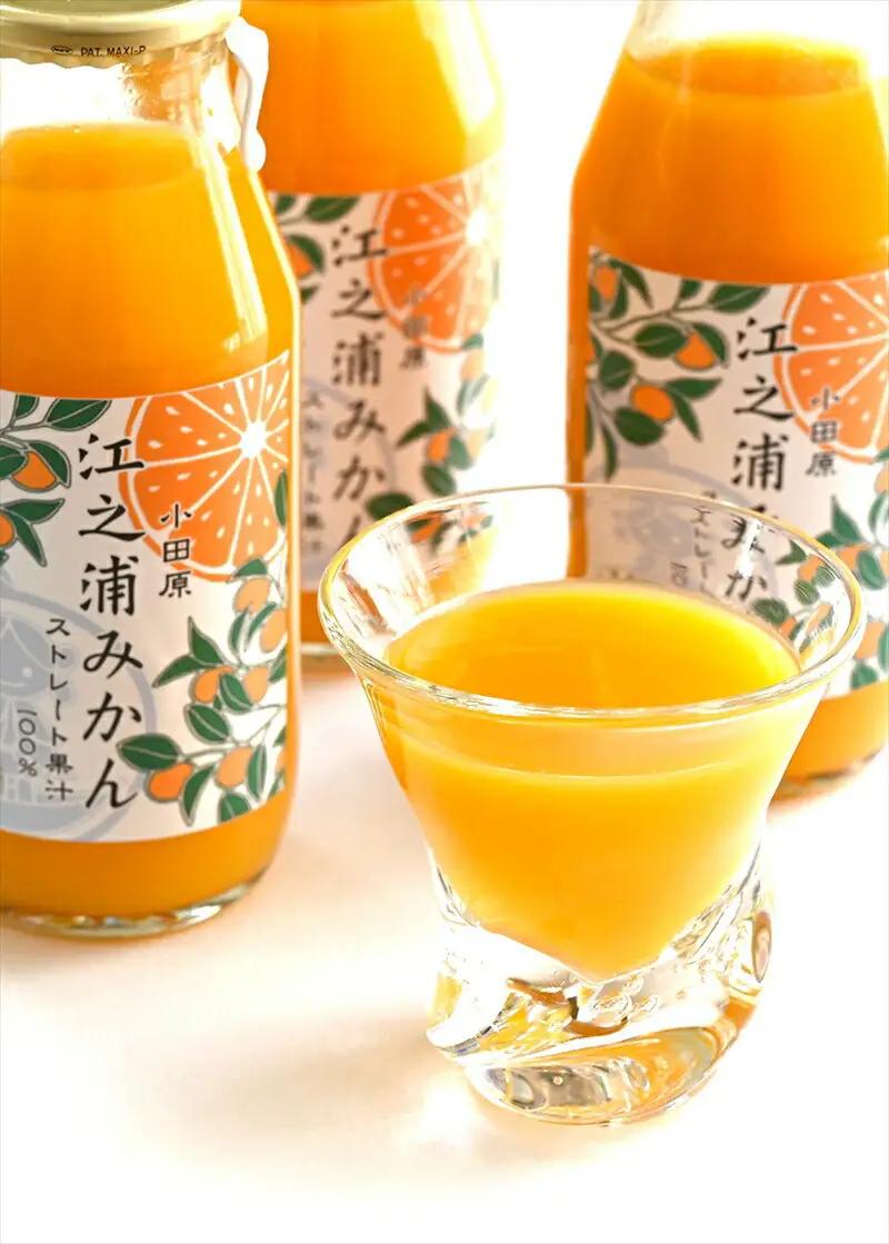 【定期便 6回】小田原産江之浦みかん１００％ストレートジュース５００ml６本【みかんジュース みかんジュース 神奈川県 小田原市 】