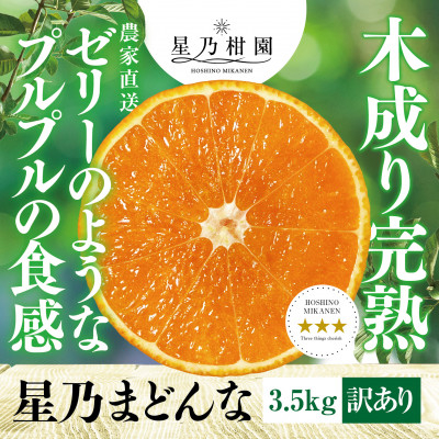 
＜先行受付＞2024年先行受付 星乃みかん園の星乃まどんな(3.5kg)＜C45-86＞【1475871】
