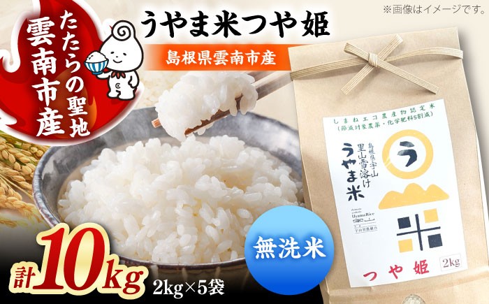 
                  お米【無洗米】神話の里/吉田町「うやま米」つや姫 10kg（2kg×5）無洗米 精米 コメ おこめ お米 つやひめ おすすめ 人気 米 ごはん ご飯 食卓 主食 ブランド米 お取り寄せ グルメ ご当地米 家族 ファミリー 一人暮らし 便利 10キロ おいしい ごはんソムリエ 種もみ ミネラル 国産 新生活 お弁当 朝ごはん 朝食 昼食 ご当地 島根県雲南市/有限会社藤本米穀店 [AIDB094]
                