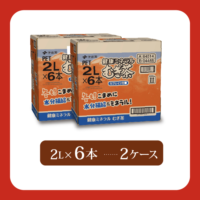 ＜選べる内容量＞ 健康ミネラル むぎ茶 計12本 2L × 6 本 2ケース お届け お茶 ペットボトル 飲料 ペットボトル飲料 おちゃ 麦茶飲料 お茶飲料 飲み物 茶 アウトドア 日常 常備 備蓄 