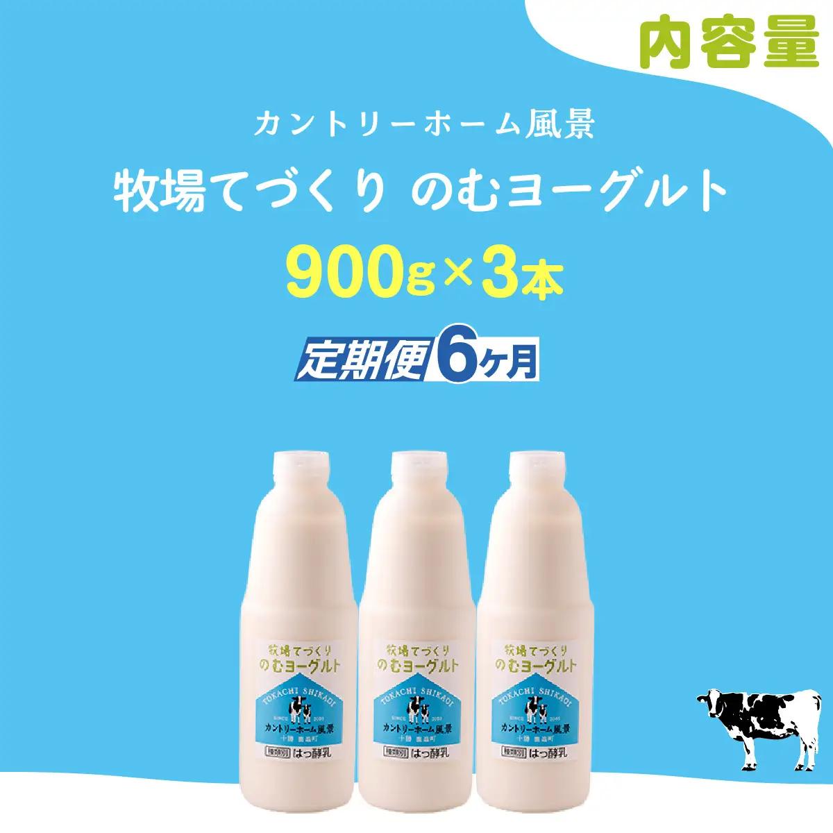 【定期6ヶ月】のむヨーグルト 900g ×3 SKB037