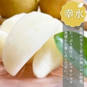 【2026年産】船橋のなし「幸水」（い志い農園）
