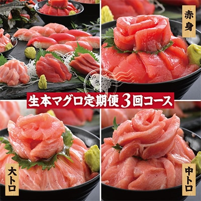 【毎月定期便】生本まぐろ【赤身・中トロ・大トロ】3種各150g全3回【配送不可地域：離島・北海道・沖縄】【4005118】