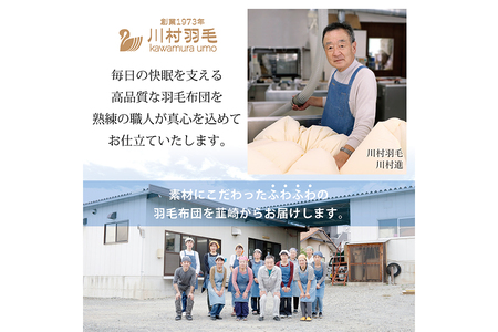 【春秋用】羽毛布団 シングル 合掛け 中厚  60番手サテン (レオーネ 青 柄 )｜