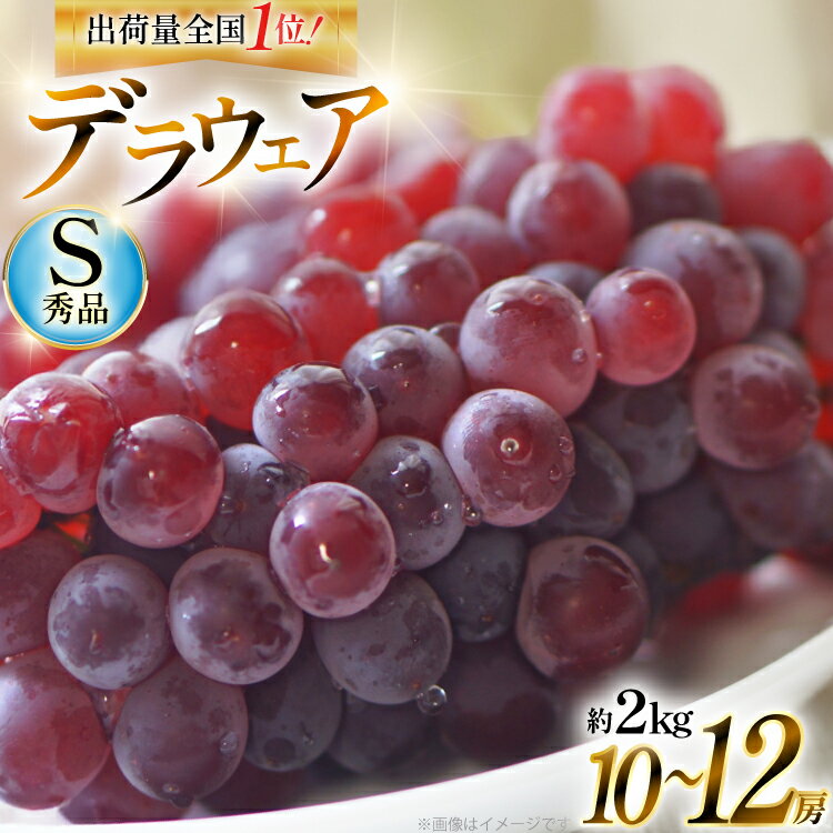 【ふるさと納税】 【期間限定発送】 ぶどう デラウェア 秀品 10〜12房 約 2kg [安達敏幸 山形県 高畠町 tk06ays830007] 種無し ブドウ 葡萄 くだもの 果物 フルーツ 産地直送 農家直送