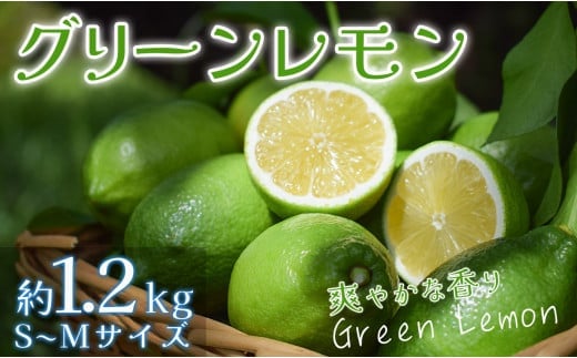 
            【高知県 大月町産】爽やかな香りの温室グリーンレモン　1.2kg
          