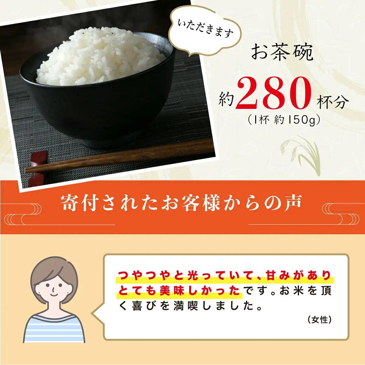 ＜2026年8月発送＞令和8年産コシヒカリ 20kg【S248】