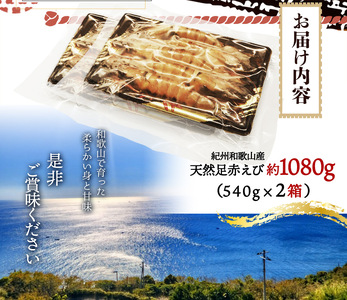 紀州和歌山産天然足赤えび540g×2箱（270g×4パック）化粧箱入 ※2026/12月上旬頃?2027年2月上旬頃順次発送予定（お届け日指定不可）／海老 エビ えび クマエビ 足赤 天然 おかず【u