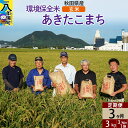 【ふるさと納税】【玄米】《定期便3ヶ月》令和6年産 秋田県産 あきたこまち 環境保全米 3kg (3kg×1袋)×3回 計9kg