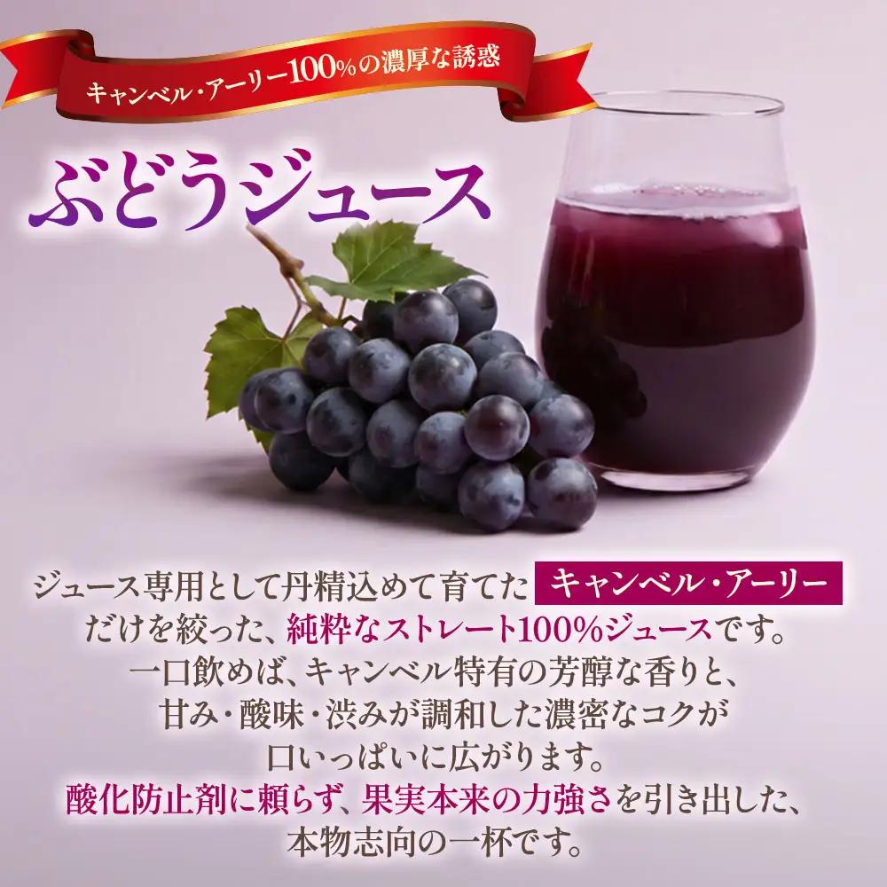 青森県産ストレート果汁 【 りんごジュース ＆ ぶどうジュース 】 各 1L