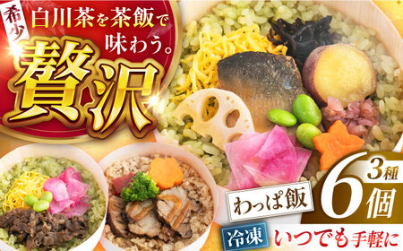 白川茶香る わっぱ飯 3種×2個 [AWAE006]牛肉 鮎 紅茶 お弁当 レンジ