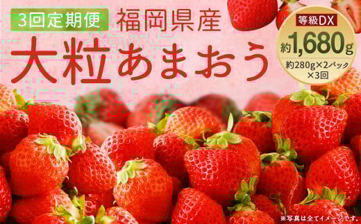 【3回定期便】【先行予約】あまおう 等級DX 約560g 約280g×2パック いちご 苺 果物 フルーツ【2026年1月上旬～3月下旬迄順次発送予定】