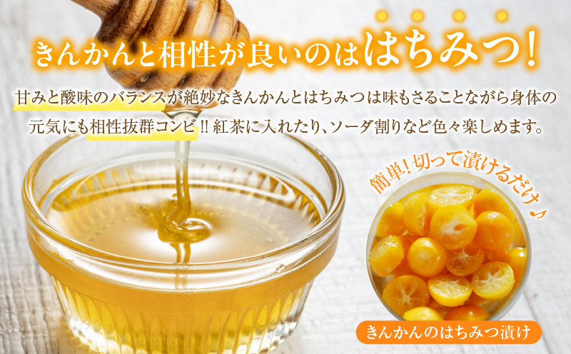 先行予約≪数量限定≫完熟きんかんプレミアム(計1kg) 化粧箱入り フルーツ 果物 柑橘 国産_T042-0011