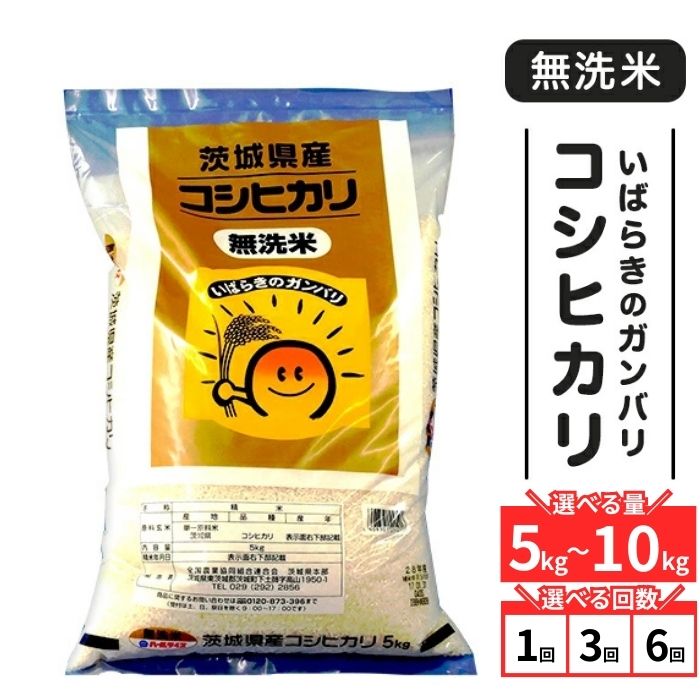 【ふるさと納税】米 無洗米 令和7年 こしひかり ガンバリコシヒカリ 茨城県産 無洗米 コシヒカリ 選べる容量 5kg～15kg　選べる回数 定期便