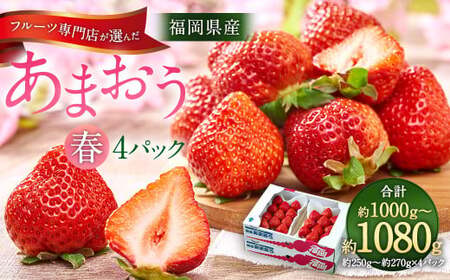 福岡産【春】 フルーツ専門店が選んだ あまおう 4パック いちご 苺 果物 フルーツ 福岡 太宰府【2027年2月上旬～3月下旬発送予定】