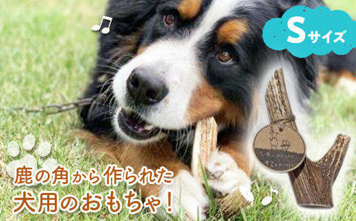 鹿の角から作られた犬用のおもちゃ！