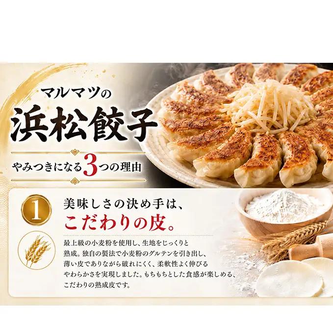 餃子 浜松餃子 120粒 定番の味 30粒×4袋 餃子