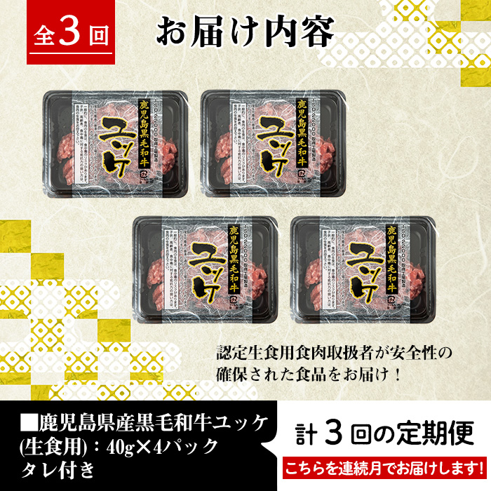 i824 《毎月数量限定》＜定期便・計3回(連続)＞ 鹿児島県産黒毛和牛ユッケ＜(40g×4P・計160g)×全3回＞【カミチク】