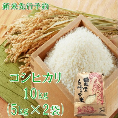 【ふるさと納税】【令和8年産米 先行予約】コシヒカリ 精米 10kg　佐藤【1746920】
