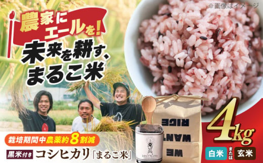 【令和6年産】【白米】 滋賀県西浅井町産コシヒカリ2kg ×2・黒米 あさむらさき 200g セット 滋賀県長浜市/ONE SLASH 株式会社 [AQCZ011-2] 米 お米 白米 玄米 黒米 コシヒカリ