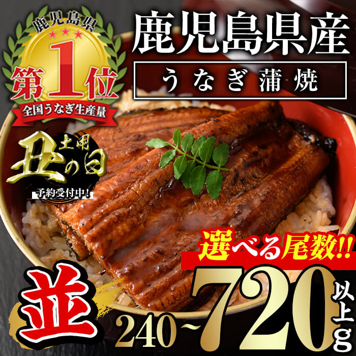 【ふるさと納税】＜丑の日先行予約受付中！＞＜尾数が選べる！＞無投薬！鹿児島県産うなぎ蒲焼セット＜並＞(計240g以上〜計720g以上・ 約120g×2尾〜6尾) タレ・山椒付き 鰻 ウナギ 6尾 うな重 ひつまぶし かばやき 九州産 国産 冷凍 予約 丑の日 土用 【西日本養鰻】
