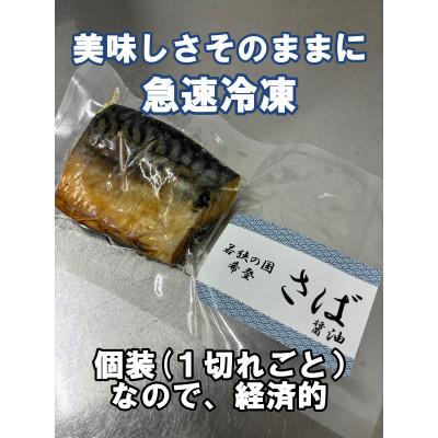 ふるさと納税 小浜市 レンジでチンする若狭おばま醤油干し 16切れセット(さば8切れ・カラスガレイ8切れ) |  | 03