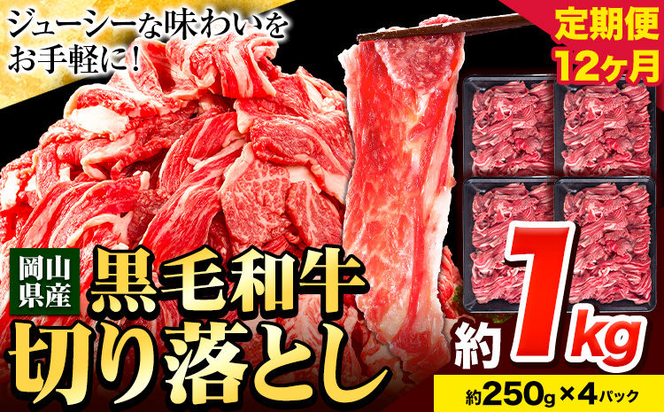 牛肉 肉 黒毛和牛 切り落とし 訳あり 大容量 小分け【定期便】 1kg 1パック 250g 12回 《お申込月の翌月より発送》岡山県産 岡山県 笠岡市 お肉 にく カレー 牛丼 切り落し 切落し 黒毛和牛 牛肉 黒毛和牛 牛肉 黒毛和牛 牛肉 黒毛和牛 牛肉 黒毛和牛 牛肉 黒毛和牛 牛肉 黒毛和牛 ---223_f741tei_23_120000_12kg---