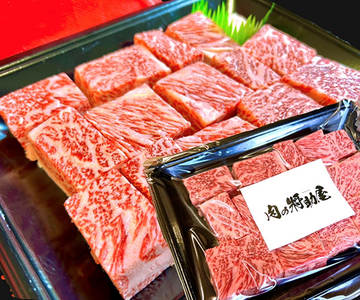 【定期便】定期便　A5雌特撰近江牛ステーキ食べ比べセット　全３回【FO59U】