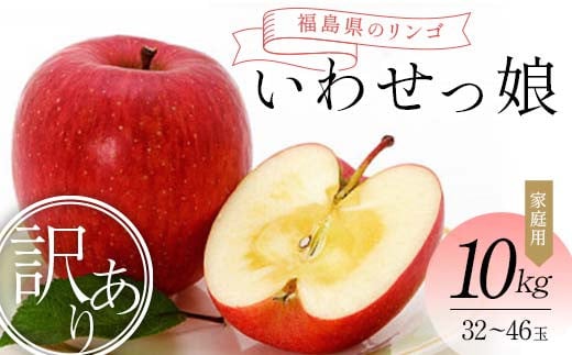 ＜訳あり家庭用りんご＞福島県のリンゴ　いわせっ娘 約10kg(32～46玉) F7X-0012