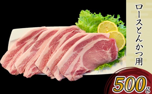 国産豚肉2種とんかつ用・こま切れセット3kg（小分け真空包装）【下妻工場直送】【豚肉 パック とんかつ  小分け ロースとんかつ ヒレ カツ 便利 国産 料理 ポーク ぶたにく 国産豚 マルリン】