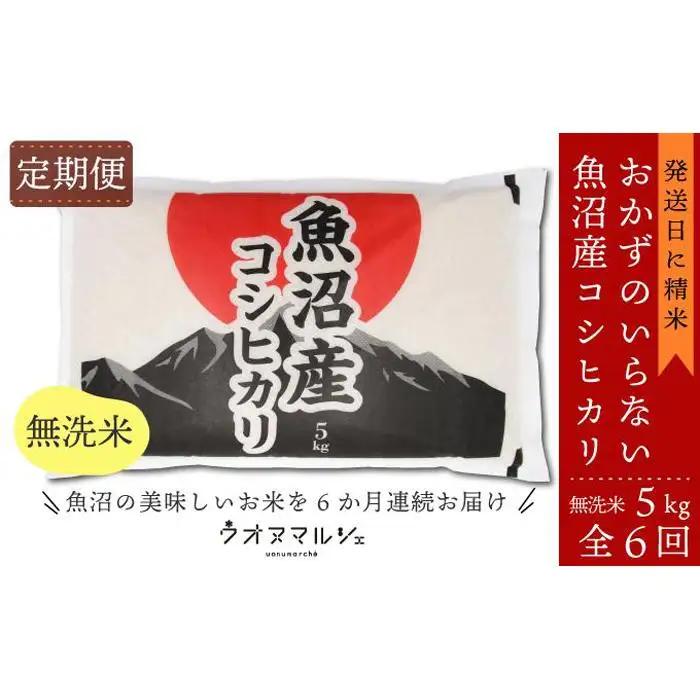 【令和8年新米予約】【お米定期便/全６回】おかずのいらない 魚沼産コシヒカリ　無洗米５ｋｇ｜コシヒカリ