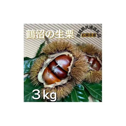 石岡鶴沼の生栗　3キログラム（茨城県共通返礼品・石岡市産） / 栗 くり クリ 生栗 和栗 3kg 秋の味覚 利根町 送料無料