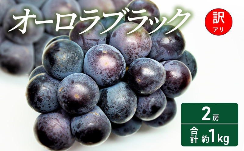 訳あり ぶどう オーロラブラック 2房 合計約1kg 岡山県 高梁市産 2026年 先行予約 常温 フルーツ 葡萄 ブドウ 産地直送 大粒 爽やか 食べやすい