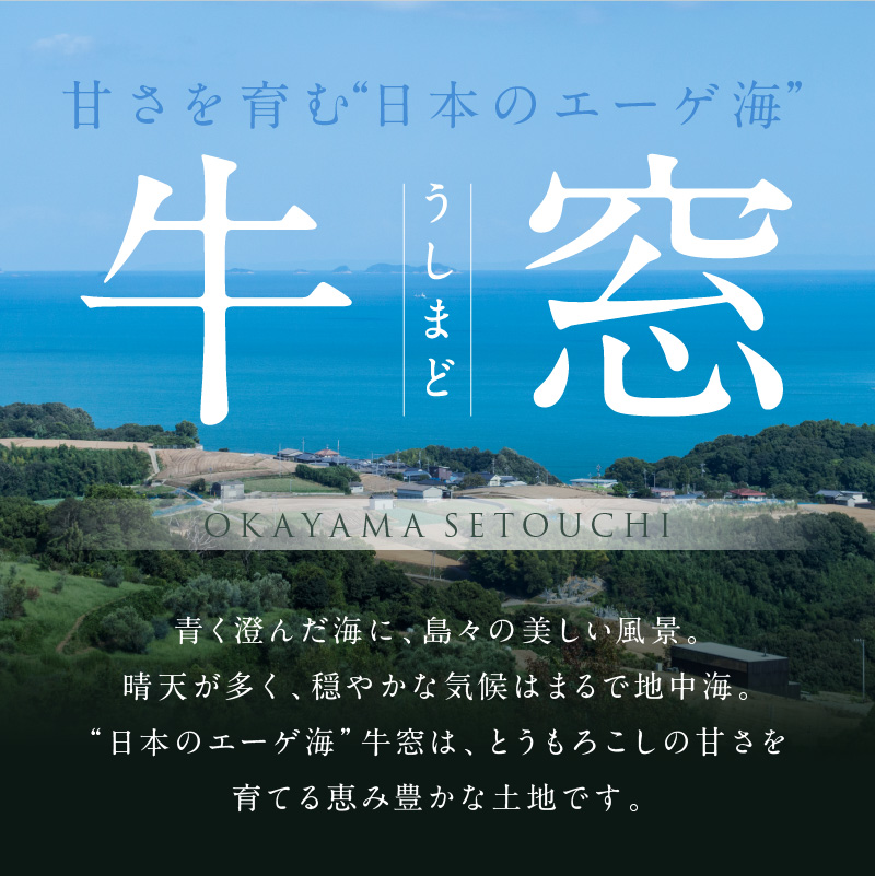 ［2026年先行予約］牛窓産とうもろこし まるでフルーツ！最高糖度25度超え 生で甘い、茹でて美味い！ 黄色 とうもろこし 「桃太郎コーン」約4kg（8～12本入り） 野菜 