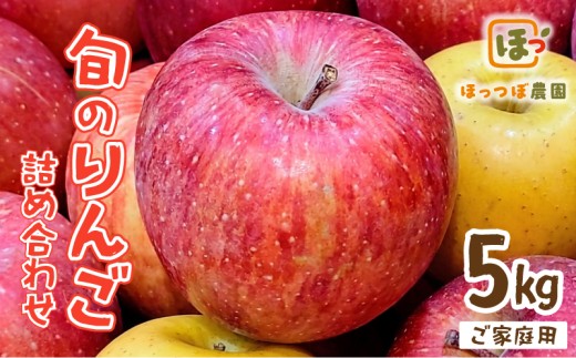 <先行予約> 訳あり りんご 品種おまかせ 選べる 5kg りんご リンゴ 林檎 果物 くだもの フルーツ りんご リンゴ 林檎 りんご 産地直送 農家直送 新鮮 旬 国産 冬 傷 訳アリ わけあり 家庭用 詰め合わせ セット おすそわけ プレゼント おやつ スイーツ デザート ringo apple 宮城県 岩沼市 東北 HT007