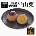 【ふるさと納税】饅頭 一粒栗入り栗饅頭 山栗 6ケ入 白あん 一粒栗【菓舗ひとつばたご】和菓子 人気 スイーツ お菓子 ギフト 送料無料 岐阜県 中津川市