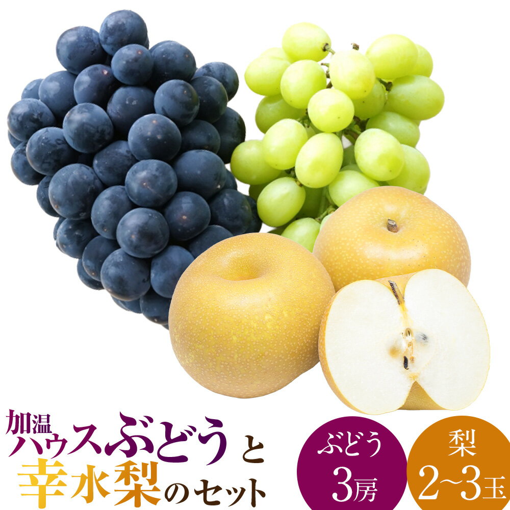 【ふるさと納税】【先行予約】種なし 加温ハウスぶどう （3房） 幸水梨 （2～3玉） セット 【2026年7月下旬～8月上旬より順次発送予定】 【春光園】 有機配合肥料使用 種なし ぶどう ブドウ 葡萄 梨 なし 果物 フルーツ 詰め合わせ 冷蔵 送料無料 福岡県 うきは市
