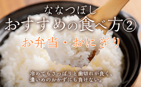 【令和6年産】 ななつぼし 精米 10kg 【 ふるさと納税 人気 おすすめ ランキング お米 米 白米 精米 ななつぼし ごはん 道産米 コメ 北海道 むかわ町 送料無料 】 MKWF009