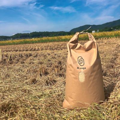 ふるさと納税 福知山市 【令和4年産】京都 福知山産こしひかり 玄米10kg 一般には流通していない特別なお米です。 |  | 02